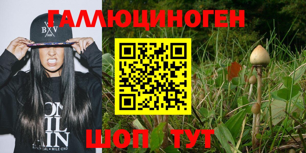 Галлюциногенные грибы Magic Shrooms Кубинка