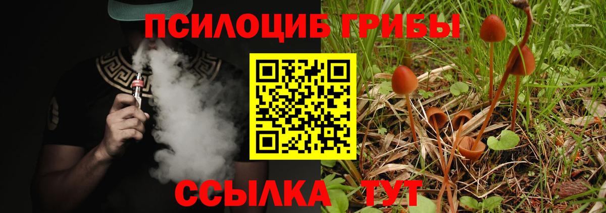 Кубинка  Псилоцибиновые грибы Psilocybine cubensis  Вход с VPN  Псилоцибиновые грибы мицелий 